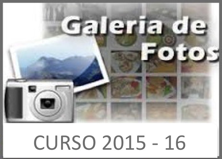galeria 2015.16